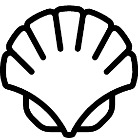 Shell